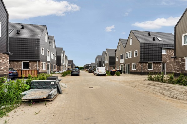 08_Moerasorchidee 31 - Lelystad.jpg